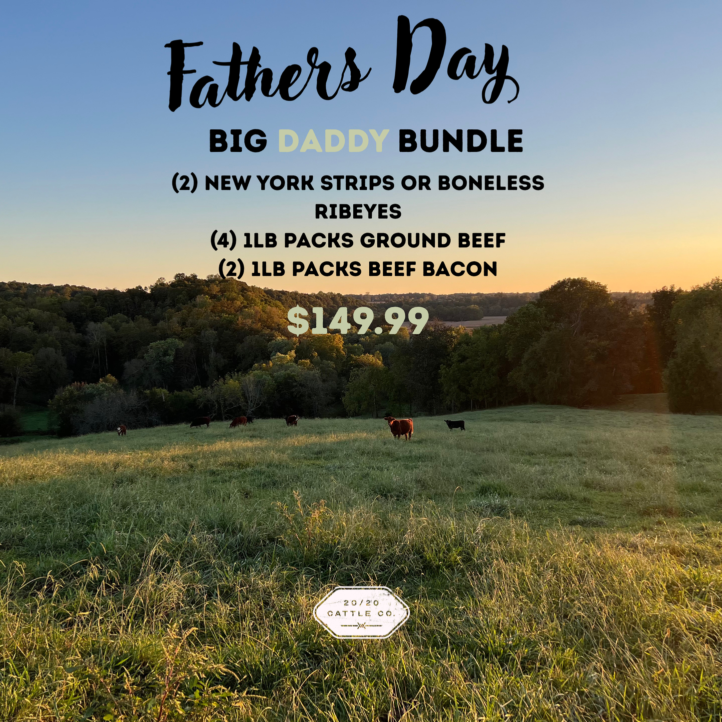Big Daddy Bundle