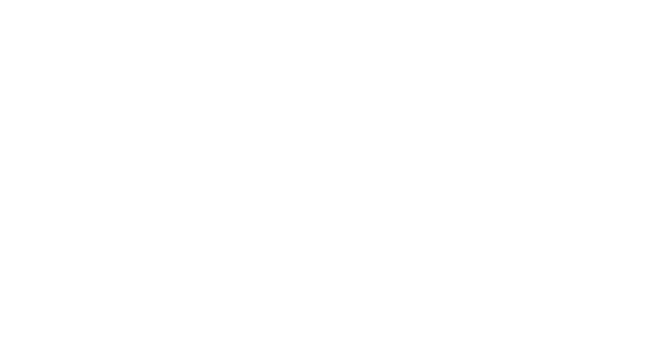 20/20 Cattle Co.